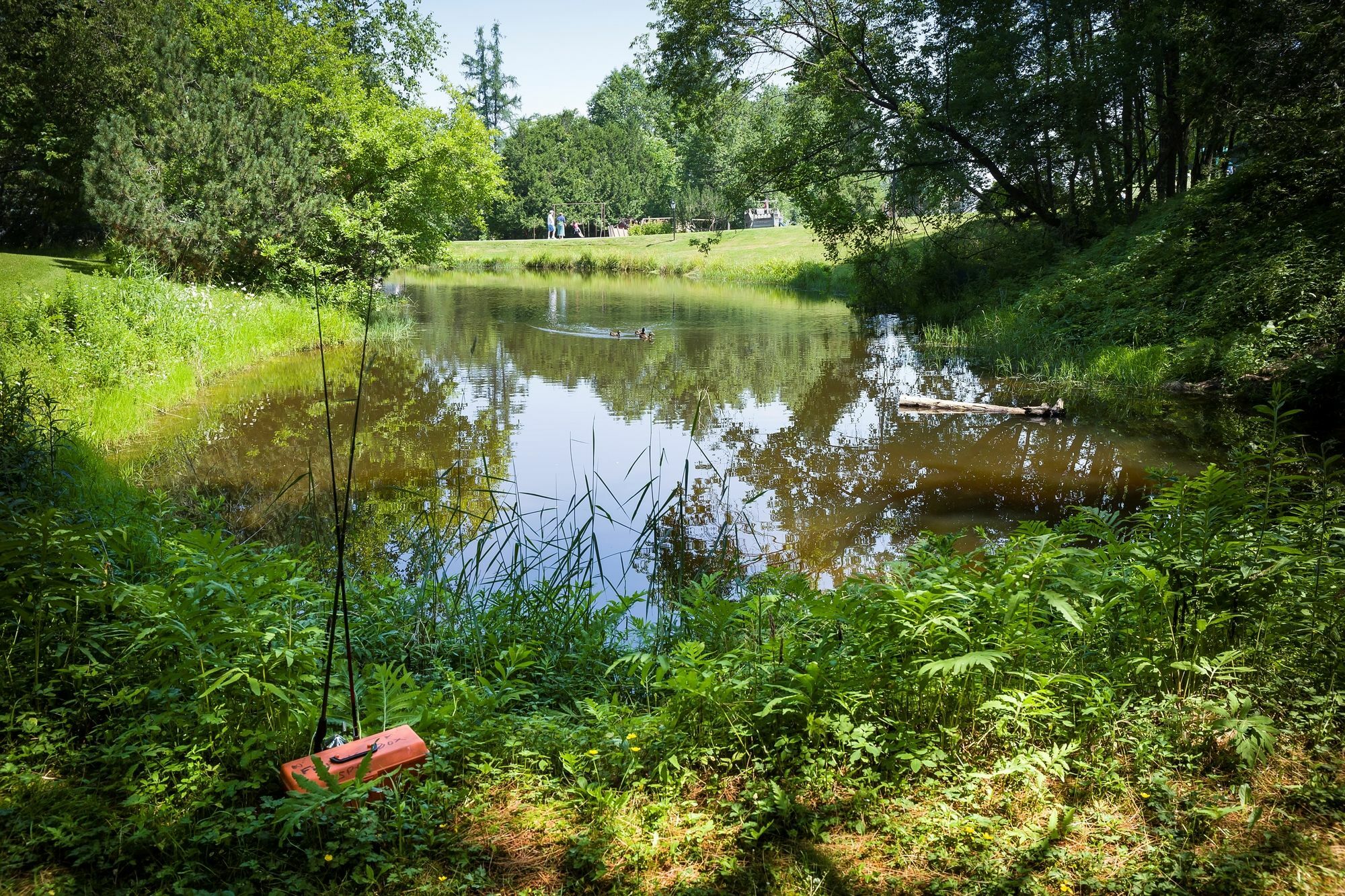 Bluebird Cady Hill Lodge Stowe Esterno foto